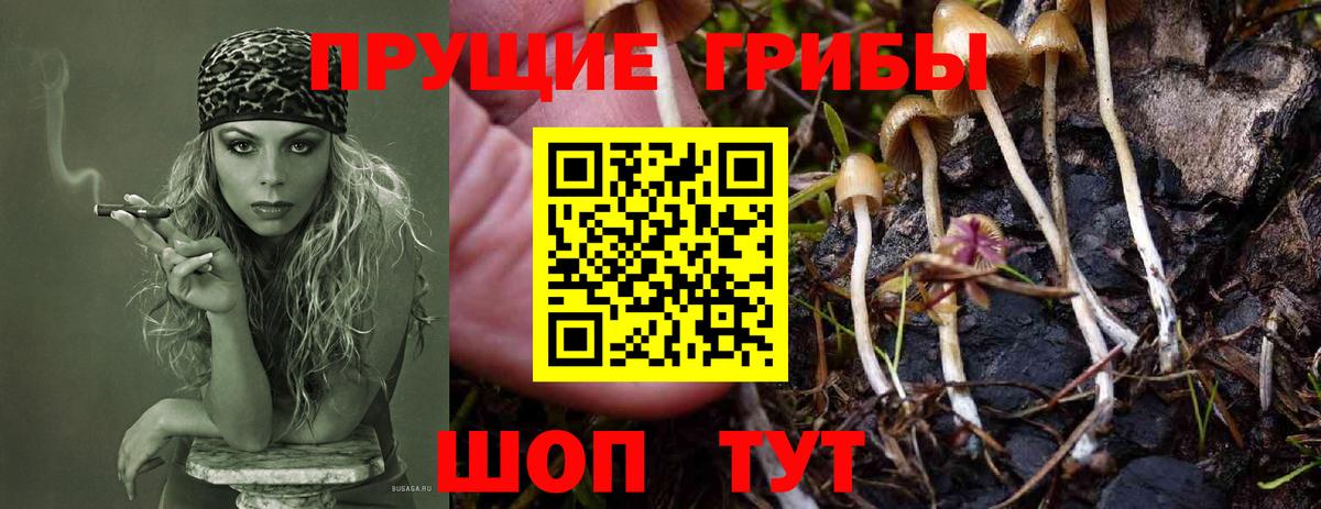 где купить   Галлюциногенные грибы Psilocybe  Вход с VPN  Семёнов  Галлюциногенные грибы Magic Shrooms 